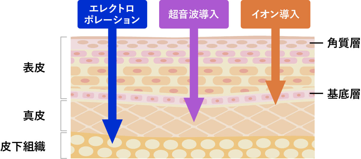 肌への浸透深度の比較図